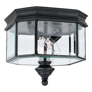 Sea Gull Lighting Hill Gate Black 2 light Outdoor Ceiling Fixture