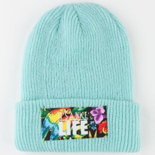 Nice Life Beanie Mint One Size For Men 225163523