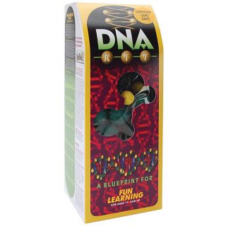 Styrofoam Painted Dna Kit