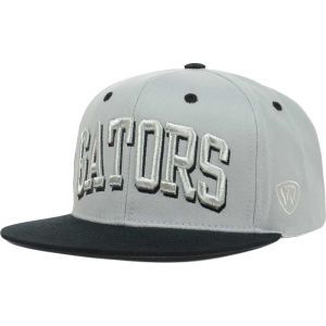 Florida Gators Top of the World NCAA Incandesent Snapback Hat