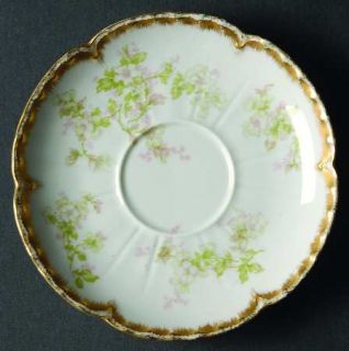 Haviland Schleiger 61g Saucer, Fine China Dinnerware   H&Co,Blank 423,Green,Pink