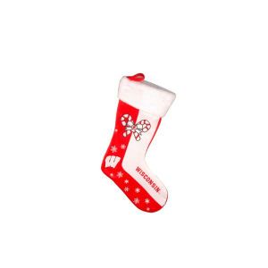 Wisconsin Badgers Forever Collectibles Team Logo Stocking