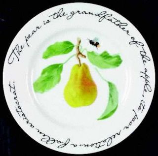 Williams Sonoma Orchard Suite Salad Plate, Fine China Dinnerware   Script On Edg