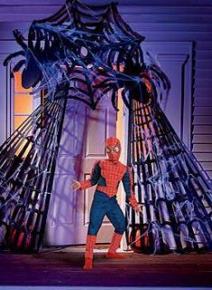 Spider Web Entrance