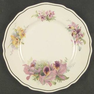 Royal Doulton Orchid Salad Plate, Fine China Dinnerware   Cream Background,Pink&