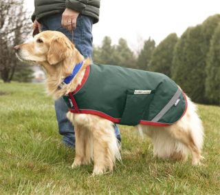 Reflective Dog Raincoat / Small, Green