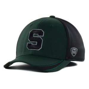 Michigan State Spartans Top of the World NCAA Sifter Memory Fit Cap