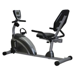 Exerpeutic 900XL Extended Capacity Recumbent Bike with Pulse Multicolor   1111