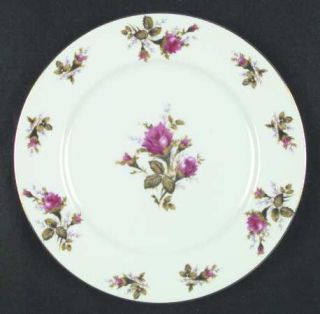 Floral Park Flp1 Dinner Plate, Fine China Dinnerware   Pink Roses Center & Rim,