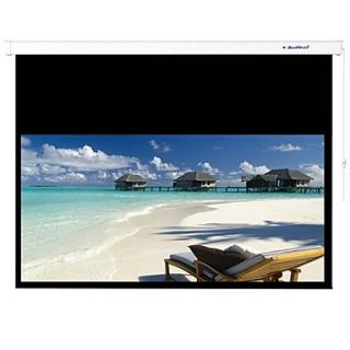 Readleaf 169 92 Inch Widescreen Gray Electric Curtain Projection Screen