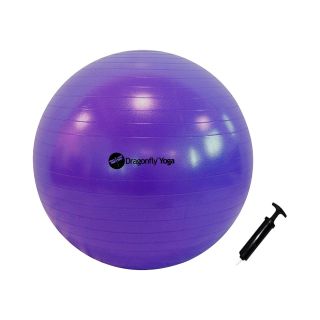 DragonFly Yoga Ball and Pump, Purple