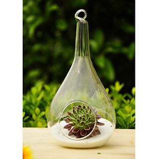 Artistic Drop Shaped Hanging Glass Vase