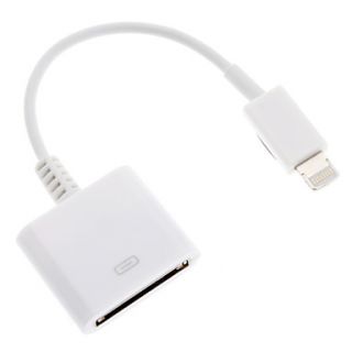8 Pin to 30 Pin Adapter for iPhone 5, iPad Mini and iTouch 5