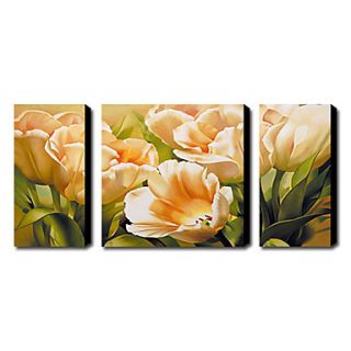Hand painted Floral Oil Painting with Stretched Frame   Set of 3