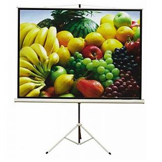 100 Projection Screen with Standing Shell (SMQC008)