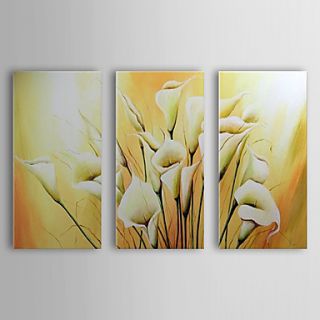 Hand Painted Oil Painting Floral Calla Lily Set of 3 with Stretched Frame 1307 FL0149