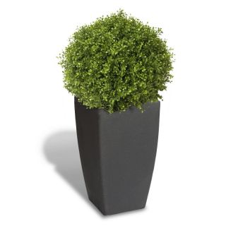 Algreen Madison Planter Brownstone   84316