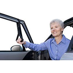 Standers Assistive Car Caddie