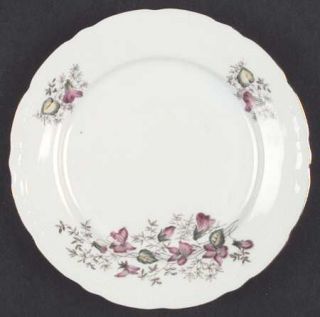 Gebruder Benedikt Wild Flower Bread & Butter Plate, Fine China Dinnerware   Pink