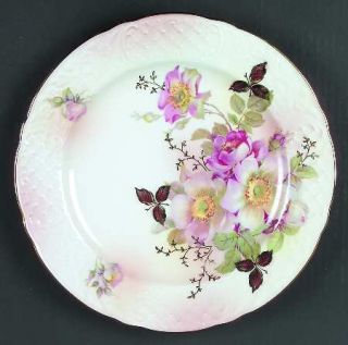 Schumann   Bavaria Wild Rose Blush Dinner Plate, Fine China Dinnerware   Blush L