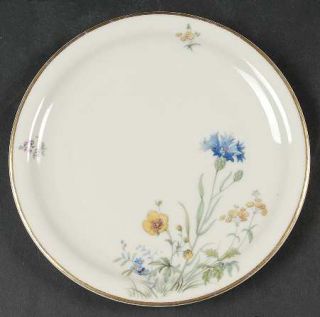 Franconia   Krautheim Meadow Flowers Salad Plate, Fine China Dinnerware   Differ