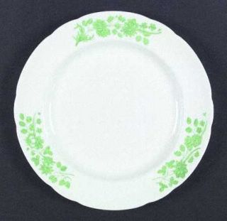 Spode Shamrock Dinner Plate, Fine China Dinnerware   Green Flowers&Leaves On Rim