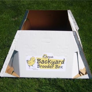 Back Yard Brooder Box Multicolor   DOC BBB