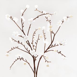 White Velvet Plum Blossoms, Set of 2   World Market