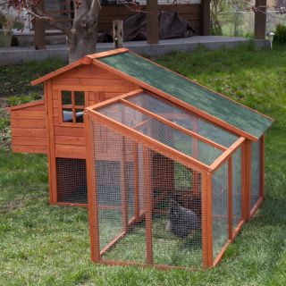 Boomer & George Deluxe Chicken Coop with Exercise Pen Multicolor   WIT238 1