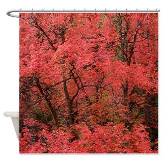  Maple red Shower Curtain  Use code FREECART at Checkout