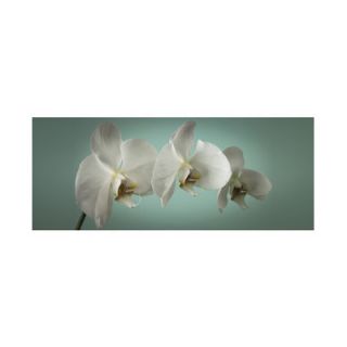 Graham & Brown Teal Orchid Canvas 40 615