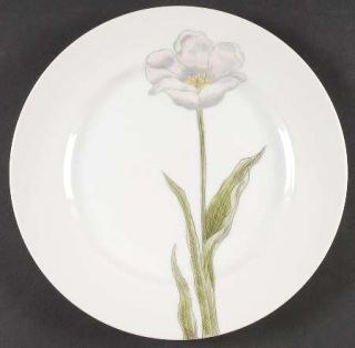 Fitz & Floyd Pastel Poppy (White Background) Dinner Plate, Fine China Dinnerware
