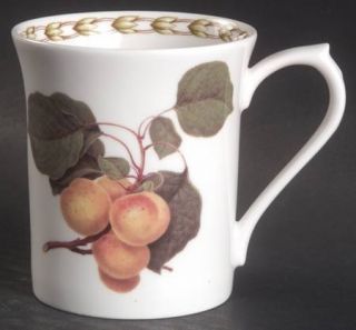 Rosina Queens HookerS Fruit (Bone, Made In England) Mug, Fine China Dinnerware