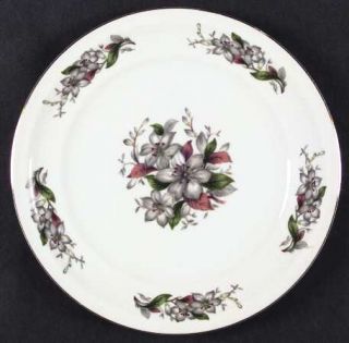 Meito Nina (F & B Japan) Dinner Plate, Fine China Dinnerware   White Flowers,Bro