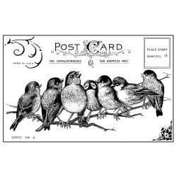 Crafty Individuals Unmounted Rubber Stamp 4.75 X7 Pkg  Seven Cheeky Songbirds