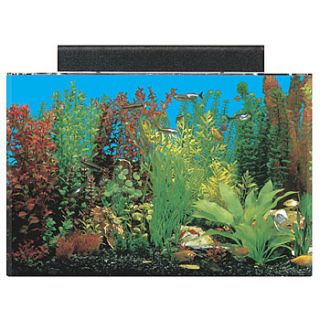 Rectangular Aquarium Combo